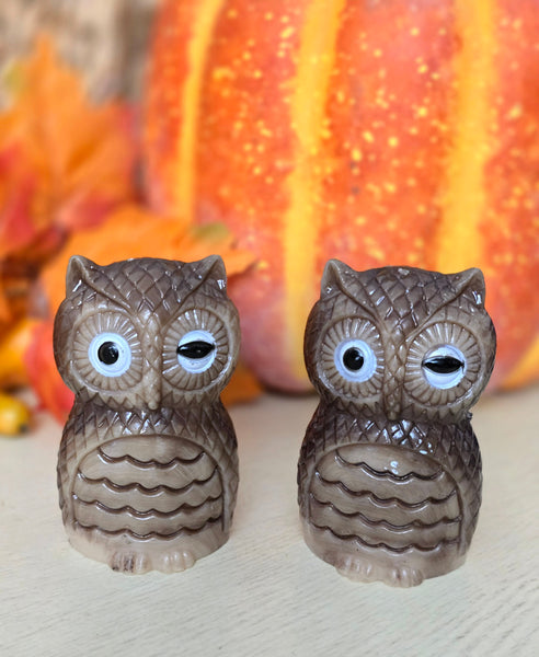 Vintage Owl Salt and Pepper Shaker Set